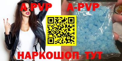ешки Кингисепп