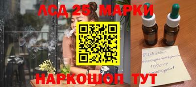 ешки Кингисепп