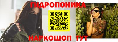 спиды Кимры