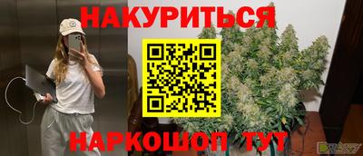 ешки Кингисепп