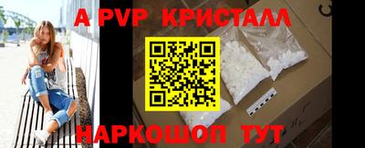 ешки Кингисепп