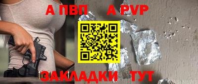 ешки Кингисепп
