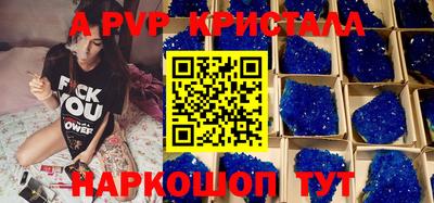 ешки Кингисепп