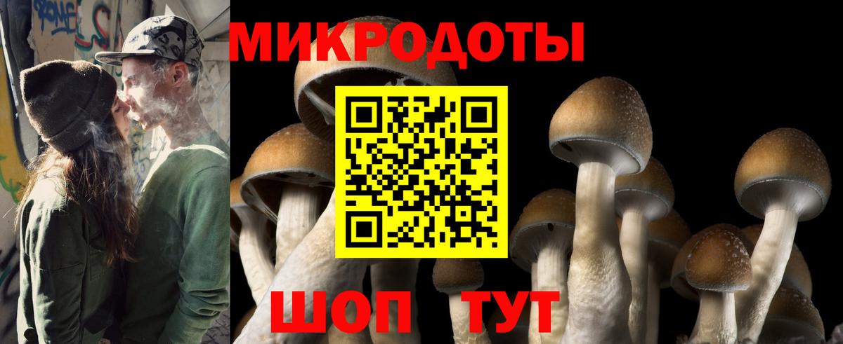 Псилоцибиновые грибы Psilocybine cubensis  Вход с VPN  Изобильный 