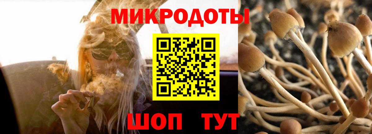 Галлюциногенные грибы мицелий Изобильный
